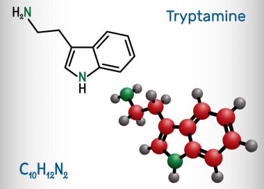 Tryptamine molekülü. Bu alkaloit, aminoalkylindole. Yapısal kimyasal formül ve molekül modeli. Vektör illüstrasyonu