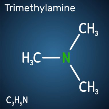 Trimethylamine, TMA molecule. It is amine, methylamine, synthesized by microbial enzymes in gut with involvement of dietary components. Structural chemical formula on the dark blue background. Vector 