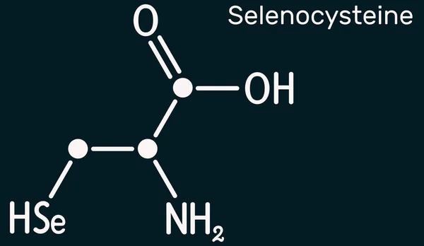 Selenocysteine Selenocysteine Sec Molecule Proteinogenic Amino Acid Selenium Analogue Cysteine — Stock Photo, Image