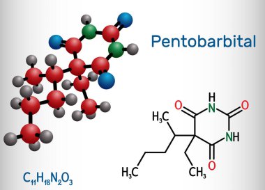Pentobarbital, pentobarbiton molekülü. Sakinleştirici, hipnotik etken. Kısa süreli uykusuzluk tedavisinde kullanılır. Yapısal kimyasal formül ve molekül modeli. Vektör illüstrasyonu