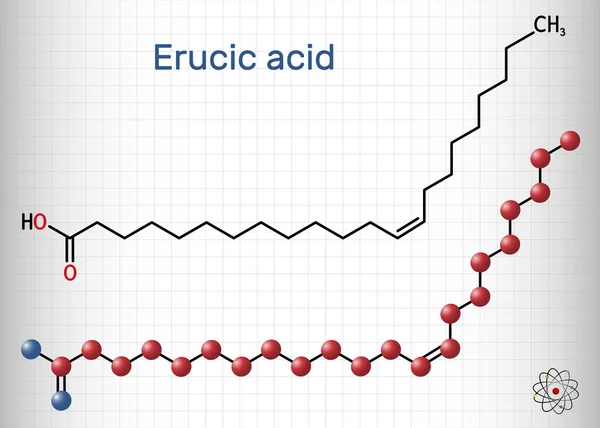Kyselina Eruková Molekula Kyseliny Dokosenové Karboxylová Mononenasycená Omega Mastná Kyselina — Stockový vektor