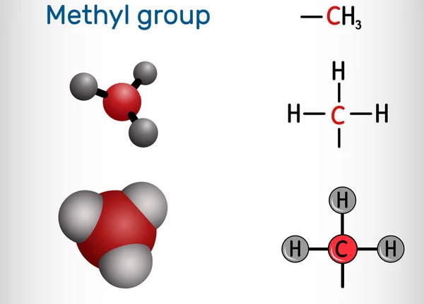 Metil Grubu Ben Ch3 Alkil Fonksiyonel Grup Organik Bileşiklerin Yapısal — Stok Vektör