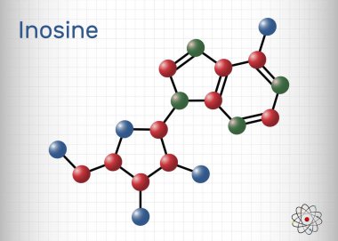 nosine molecule. It is purine nucleoside, commonly occurs in tRNA. Consists of hypoxanthine connected to ribofuranose glycosidic bond. Sheet of paper in a cage. Vector illustration clipart