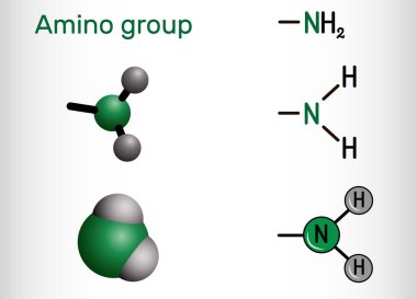 Amino grubu, (birincil, -NH2). Bu, hidrojen atomlarına bağlı bir azot atomundan oluşan fonksiyonel bir gruptur. Organik bir bileşiğe bağlı Amino grubu bir amindir. Vektör illüstrasyonu