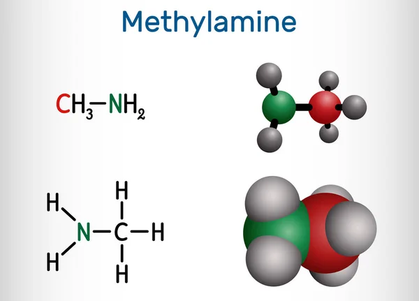 Molécula Metilamina Amina Primaria Más Simple Fórmula Química Estructural Modelo — Vector de stock