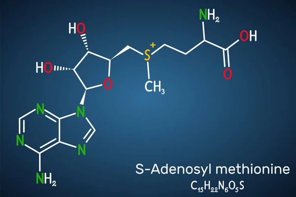 Adenosyl Metionina Sam Molécula Sam Sulfonio Betaína Cosustrato Coenzima Implicada — Vector de stock