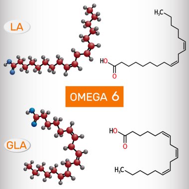 Omega-6, doymamış yağ asitleri. Linoleik asit (LA), gama-linolenik asit (GLA) molekülü. Yapısal kimyasal formül ve molekül modeli. Vektör illüstrasyonu