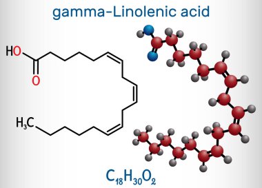 Gama-Linolenik asit, GLA, gamolenik asit molekülü. Bu Omega 6, tohum yağlarında bulunan çoklu doymamış uzun yağ zinciri. Yapısal kimyasal formül ve molekül modeli. Vektör illüstrasyonu
