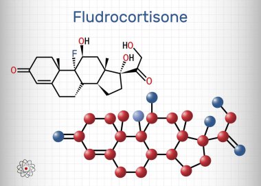 Florokortizon, florokortizon molekülü. Antiinflamatuar ve antialerjik özellikleri olan sentetik kortikosteroid. Yapısal kimyasal formül, molekül modeli. Kafesteki bir kağıt parçası. Vektör illüstrasyonu