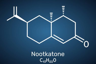 Nootkaton molekülü. Greyfurt aroması keton, aroma ve parfüm karışımı, böcek kovucu. Koyu mavi arka plan. Vektör illüstrasyonu