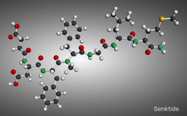 Senktid molekülü. Sentetik taşikardi peptit ve NK3 reseptör agonisti, nöroendokrin ve farmakolojik araştırmalarda kullanılır. Moleküler model. 3 boyutlu görüntüleme. Görüntü
