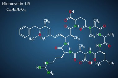 Mikrositin-LR, toksik siyanotoksin molekülü. İskelet kimyasal formülü. Koyu mavi arka plan. Vektör illüstrasyonu