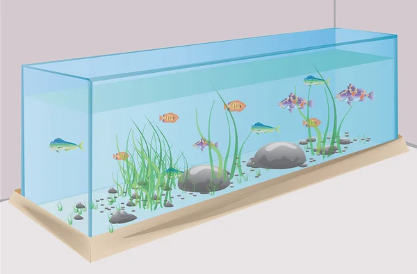 Aquarium met water vissen stenen en gras Vectorbeelden