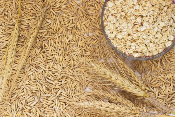 Granos de avena, copos de avena en una caja, ramitas de cebada — Foto de Stock