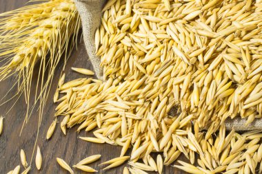 Çantada yulaf taneleri