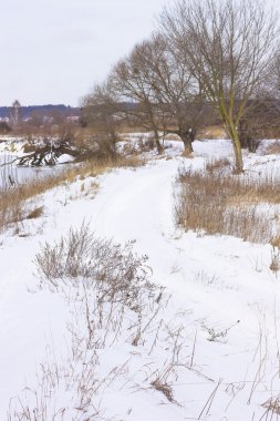 Nehri boyunca karlı yol