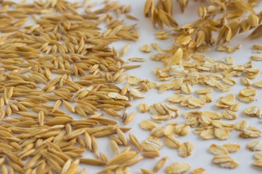 Yulaf, yulaf ezmesi ve yulaf taneleri çırpı beyaz arka plan üzerinde