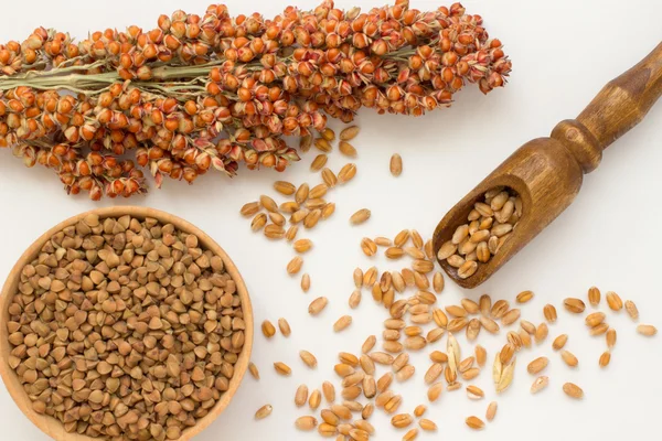 Una ramita de sorgo, trigo en una cuchara de madera — Foto de Stock