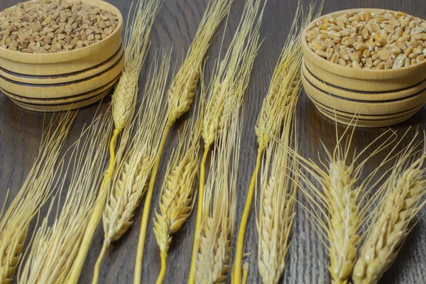 Stick of barley, wheat and buckwheat — Stock Photo, Image