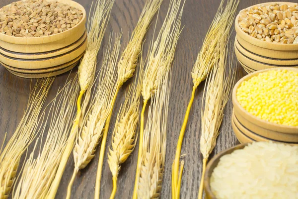 Galhos de cevada. Trigo, trigo sarraceno, arroz, painço em caixas de madeira — Fotografia de Stock