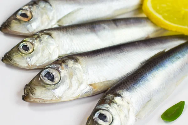 Pequeno arenque de peixe e um pedaço de limão — Fotografia de Stock