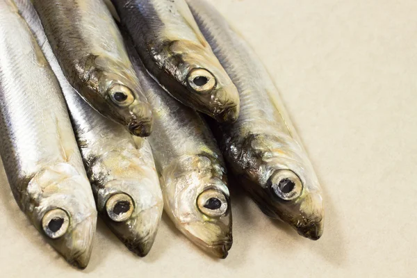 Marine fish herring on  beige background — Stock Photo, Image
