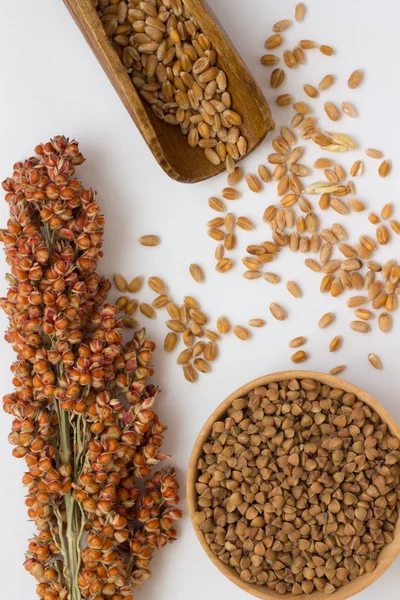 Trigo em colher de madeira, sorgo de ramo e trigo mourisco — Fotografia de Stock