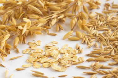 Dal yulaf, tahıl yulaf ve beyaz zemin üzerine yulaf ezmesi