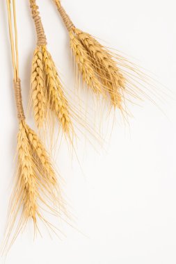 Üç avuç buğday üzerinde beyaz arka plan yakın çekim