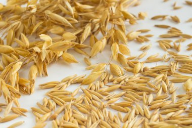 Dal yulaf, tahıl yulaf beyaz arka plan üzerinde