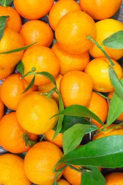 Mandalina tablo portre üzerinde yeşil yaprakları ile