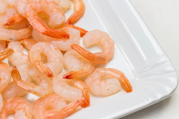 Karides yakın çekim. Uzayı kopyala Beyaz arka plan. Üst görünüm