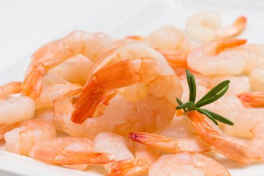 Karides yakın çekim. Beyaz arka plan. Üst görünüm