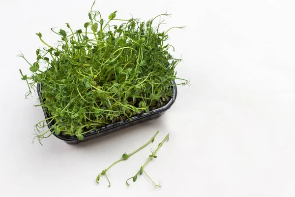 Kutuda yeşil bezelye filizleri. Masada iki yeşil lahanası var. Beyaz arka plan. Düz yatıyordu. Boşluğu kopyala