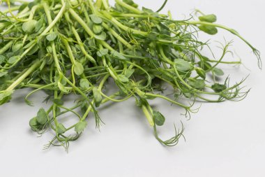 Mikro yeşil bezelye filizleri yakın. Gri arka plan. Üst Manzara. Boşluğu kopyala