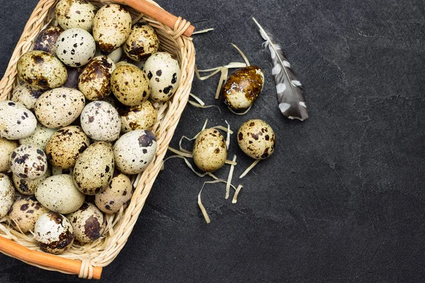 Quail eggs in wicker basket. Egg and feather on table. Black background. Flat lay. Copy space