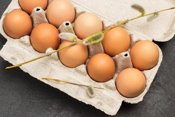 Brown chicken eggs in carton container. Willow twigs on eggs. Black background. Flat lay