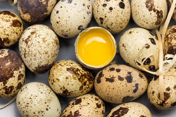 Quail eggs close up. Broken egg. Flat lay