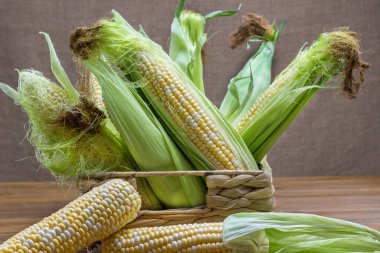  Çiğ mısır koçanı, mısır ipeği ve hasır sepette yapraklar. Ahşap arkaplan.