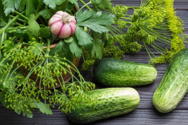 Fresh cucumbers and cherries among dill and parsley. Head of garlic. Wooden background. Top view. Close up 