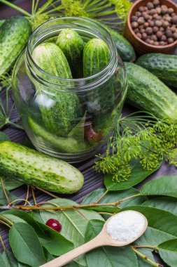 Fresh cucumbers in glass jar. Cucumbers, dill and cherry sprig on table. Salt in wooden spoon. Homemade Fermentation Products. Wooden background. Top view