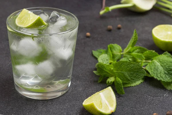 Verre Embrumé Chaux Glace Des Brins Menthe Des Moitiés Lime — Photo