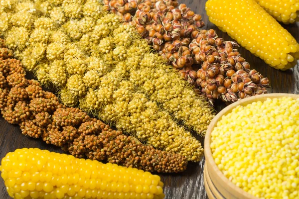 Brindilles de millet rouge et jaune ; grain de millet jaune dans un — Photo