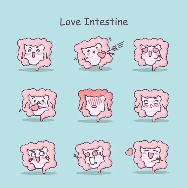 Amour dessin animé Intestin ensemble — Image vectorielle