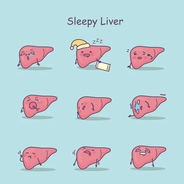 Сплячий мультиплікаційний набір печінки — стоковий вектор