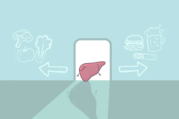 Salud concepto de cuidado del hígado — Archivo Imágenes Vectoriales