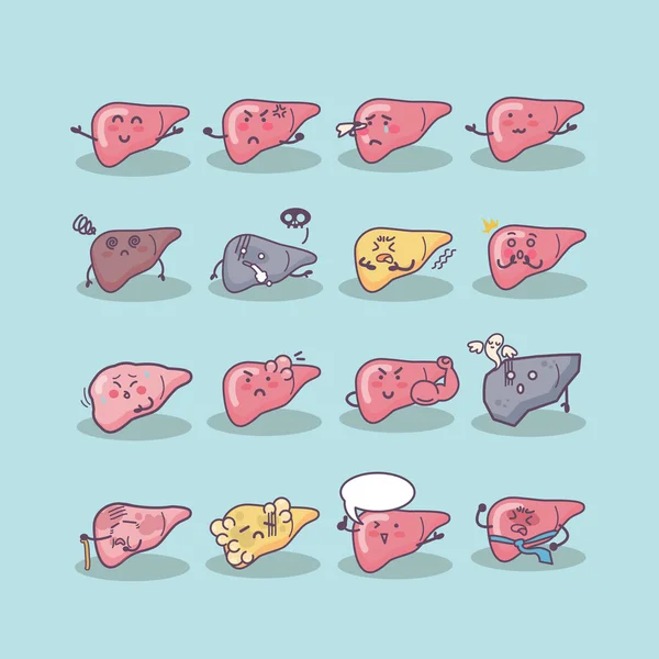 所有种类的肝脏 — 图库矢量图片