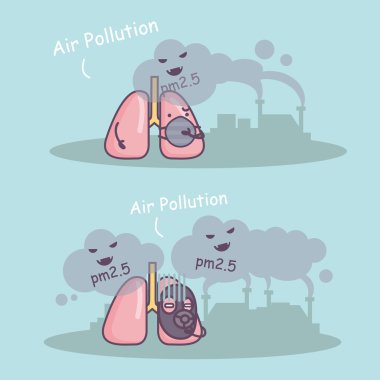 PM 2.5 sağlıksız olduğunu