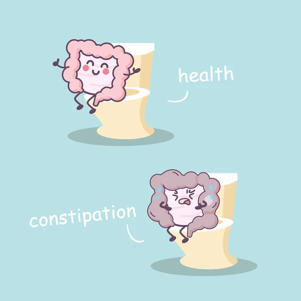 Health intestine vs constipation intestine — Stock Vector