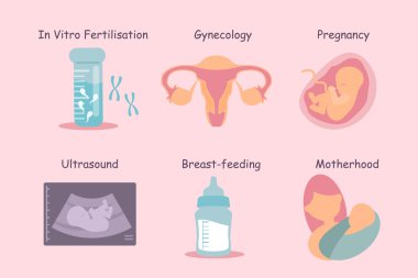 gebelik süreci kavramı